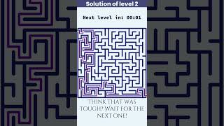 Can You Solve All 3 Maze Puzzles in 60 Seconds? 🧠✨