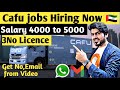 Cafu Jobs Available for 3 no Licence LTV | #Dubai #jobs #jobseakers | get High Salary + incentive