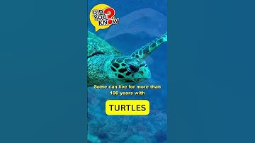 Unlocking the Secret of Immortality: How Some Turtle Species Live for Over a Century!  #education