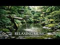 🌿 Sleep Deeply Tonight with Crystal Clear Water &amp; Peaceful Ambience