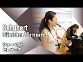 【Sax+Piano】F.Schubert - Ständchen / Serenade【サクソフォン+ピアノ】F.シューベルト - セレナーデ
