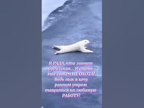 #юмор - YouTube