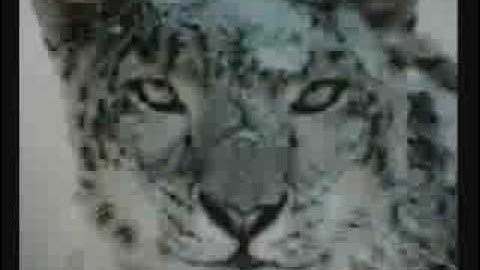 Mac OS X 10.6.3 Installation