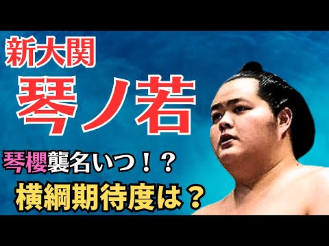 新大関誕生！琴ノ若は横綱になれるのか？【大相撲】