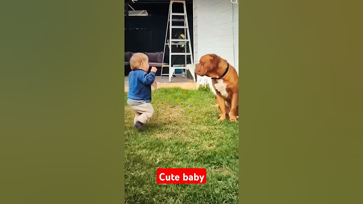 Heartwarming Moment as Child Embraces Dog Companian ! #shorts #shortvideo #viralshort