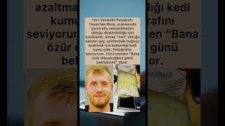 Yanlış Anlaşılmanın Vealığı Işanlama