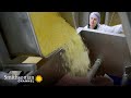 Pastry-Making Process and Quiche Preparation