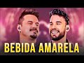 Clayton e Romário - Bebida Amarela (Áudio Oficial)