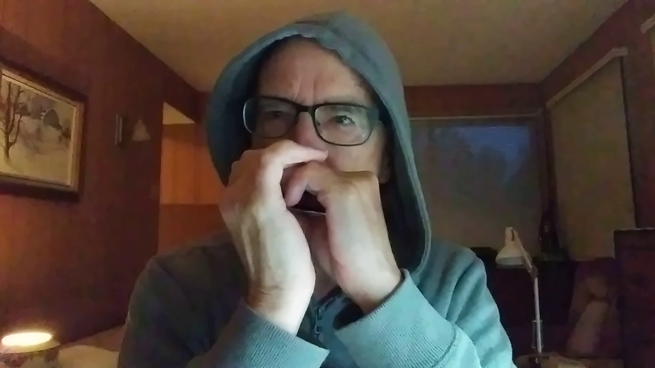 Love me do (Beatles) complete on harmonica YouTube