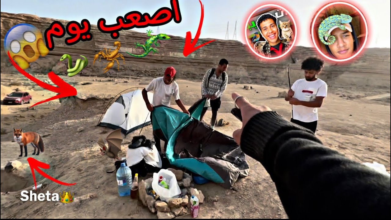 فلوج عيشنا يوم في الصحراء مع كلابي🐶(صيدنا عقارب وخفافيش وتعالب وتعابين🦇🦂🦎🦊🐍)