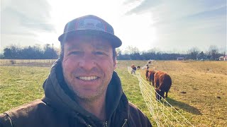 Regenerative Grazing Using 26% Less Land vs Conventional #regenerativeagriculture
