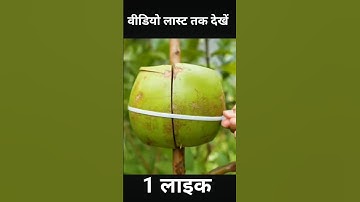 🌿Ready to grow your own guava tree at home? Great idea on how to propagating guava tree! # shorts