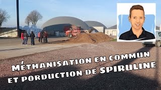 Méthanisation en commun et spiruline