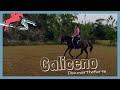 Riding the endangered galiceno  discoverthehorse episode 42