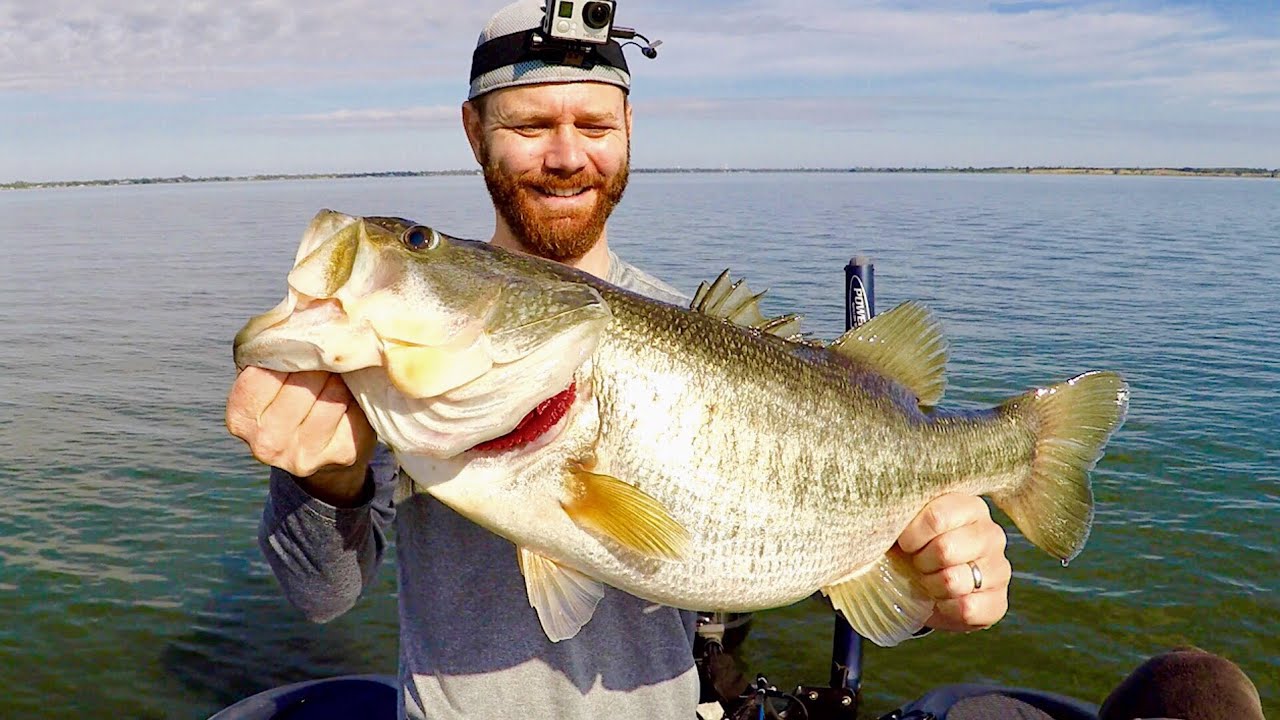 100 Pounds of Giant Bass in a Day!!! (Every Fish Weighed) Try to Add Them  up! 