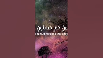 #قرآن #قران_كريم #قرآن_كريم #مصحف_التجويد
