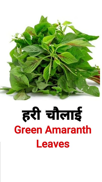 Chaulai In English Green leaves-name-in-english-and-hindi