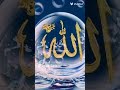 #ali #الله