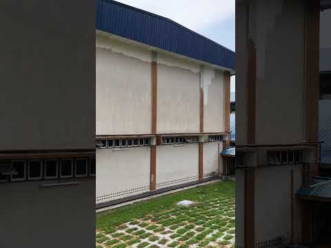 Video proses tanam rumput padang sekolah