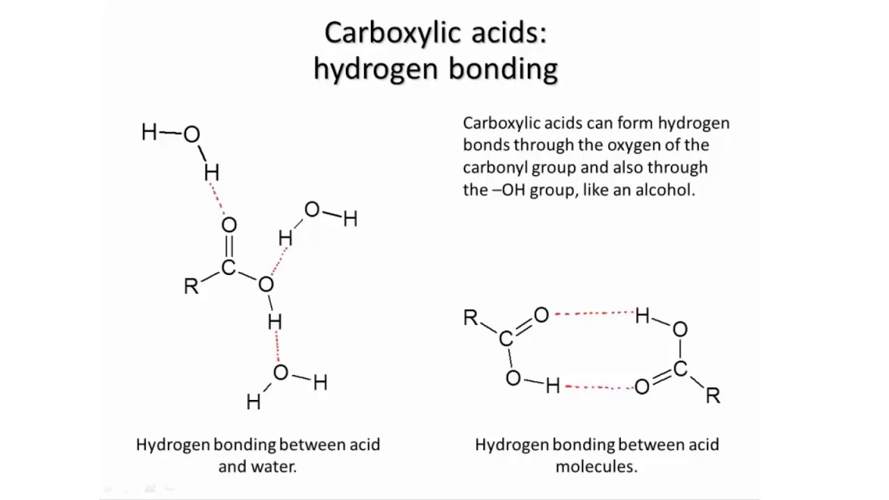 ⁣Carboxylic acids: H bonds, BP, solubility | Organic molecules | meriSTEM