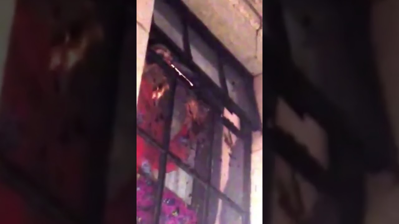 Miley Cyrus singing an unreleased song out her window to fans back in 2015 😭 