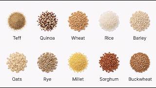 10 Ancient Grains That Quietly Shaped Human History