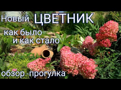 Видео: Ярки идеи за ароматна градина: растения с аромати на плодове и горски плодове