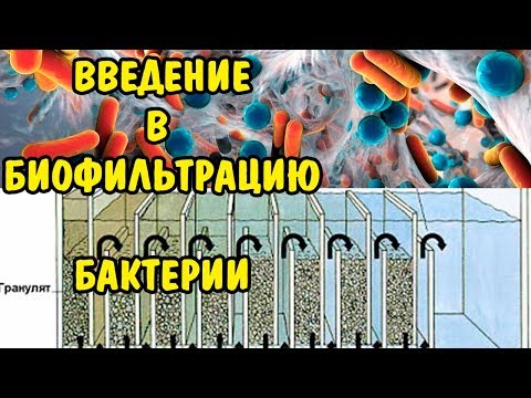 БИОФИЛЬТРАЦИЯ . ЧТО ТАКОЕ ? БАКТЕРИИ . BIOFILTRATION . WHAT IS IT? BACTERIA .