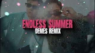 Endless Summer (DEMES Remix)