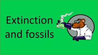 Extinction and fossils
