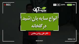 سایه‌بان یا شید چیست؟ + معرفی انواع شید