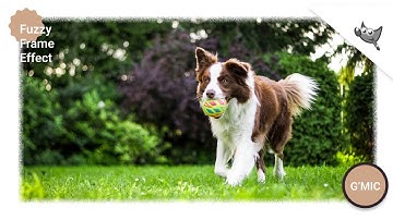 GIMP 3: How to create Fuzzy Frame  effect. [G
