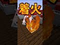 TNTの3種盛り!!最強は誰だ【マイクラ】