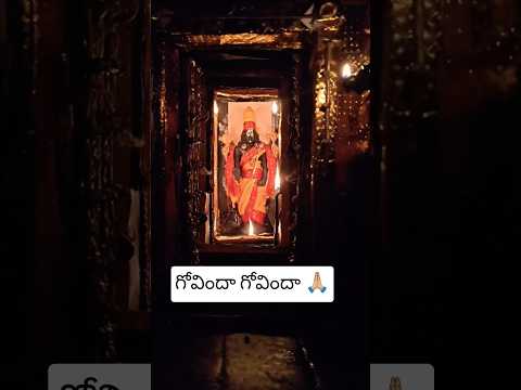 వెంకటేశ్వర స్వామి దర్శనం ✨🙏🏼#trending  #devotional #god #youtubeshorts #shortsfeed #youtube #shorts