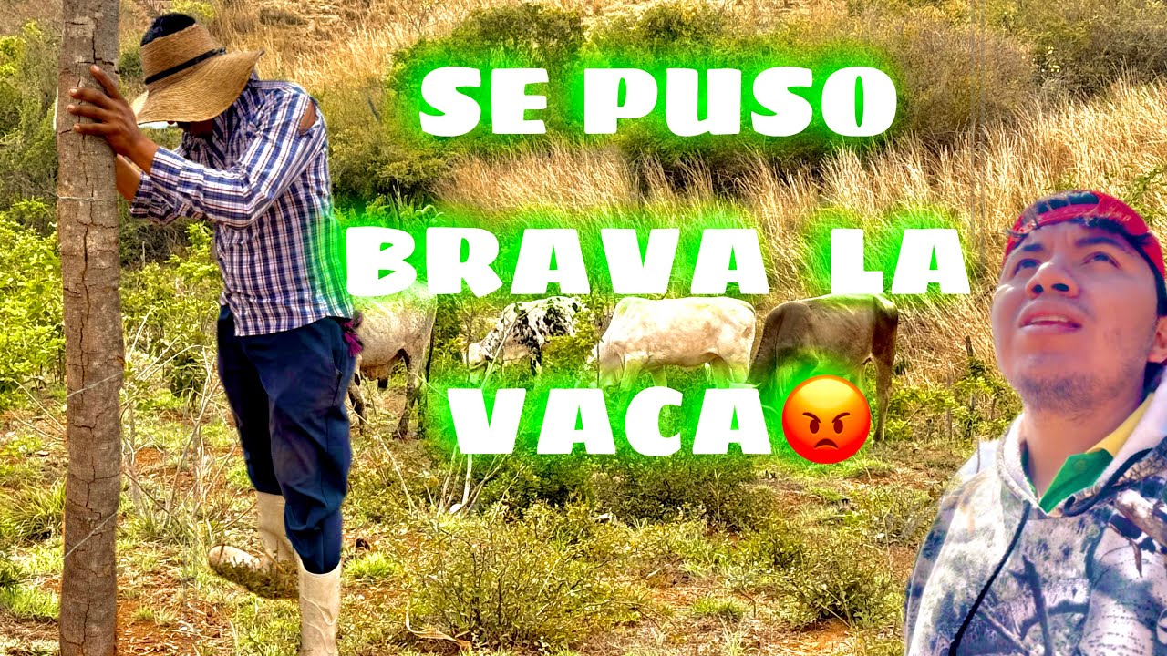 LE P3GARON AL CHAVO !!!! 😭🐄.   