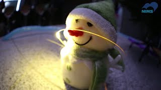NIMSが贈るクリスマス・デコレーション
