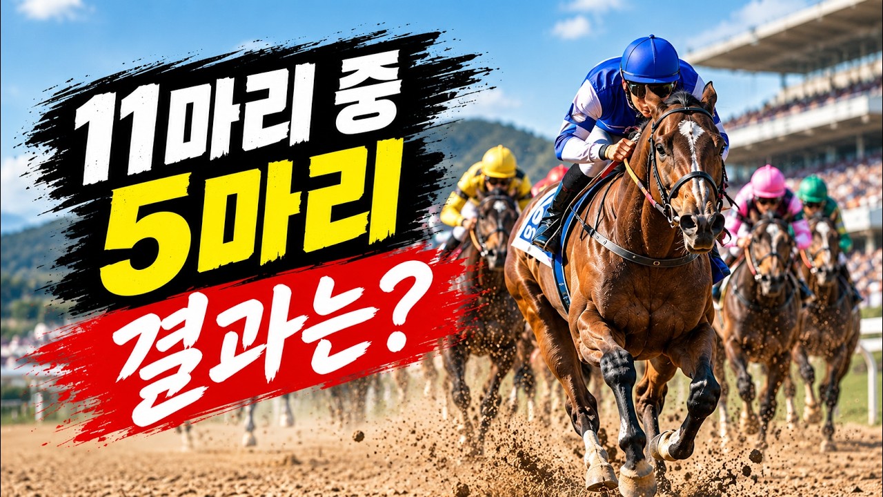 2/3 적중 1착은 놓쳤다 솔직한 결과가 오히려 눈에 띔
