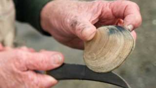 "Acres of Clams" - Introduction to "Digging for Dinner" series.