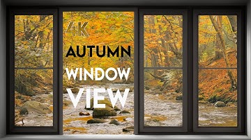 4K Autumn Forest Fake window View   Relaxing music, Calming, Ambience