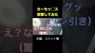 カーセッス突撃してみた結果放送事故映像