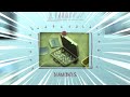 Casino Heist - Prep Mission - Vault Contents - GTA 5 - YouTube