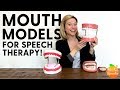 Mouth Models for Speech Therapy
