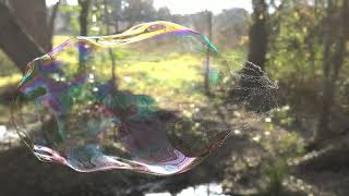 Particle simulation where giant soap bubbles burst