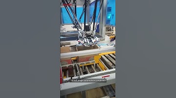 Automatic Case-Packing of Food in Bags with Special Degisned Gripper by Delta(Spider) Robot