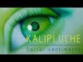 Kalipluche - Social sentiments ♫ indie synthpop