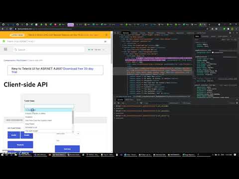How to clear RadMultiSelect selection
