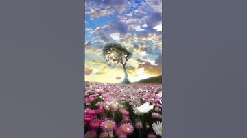 من روائع التلاوة ( قال سننظر أصدقت أم كنت من الكاذبين ) #قرآن_كريم_راحة_نفسية#اكسبلور #explore