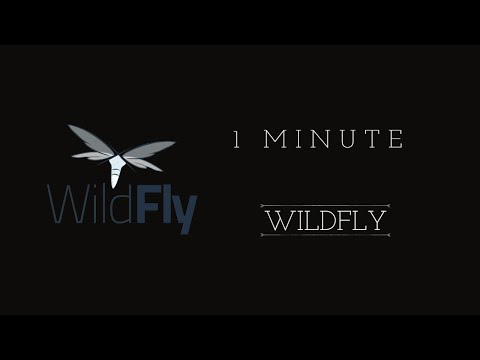 WildFly in One