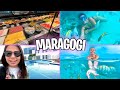 MERGULHO NAS PISCINAS NATURAIS DE MARAGOGI #ViajandoSozinha
