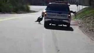 TURKEY ATTACKS MEDIC TRUCK